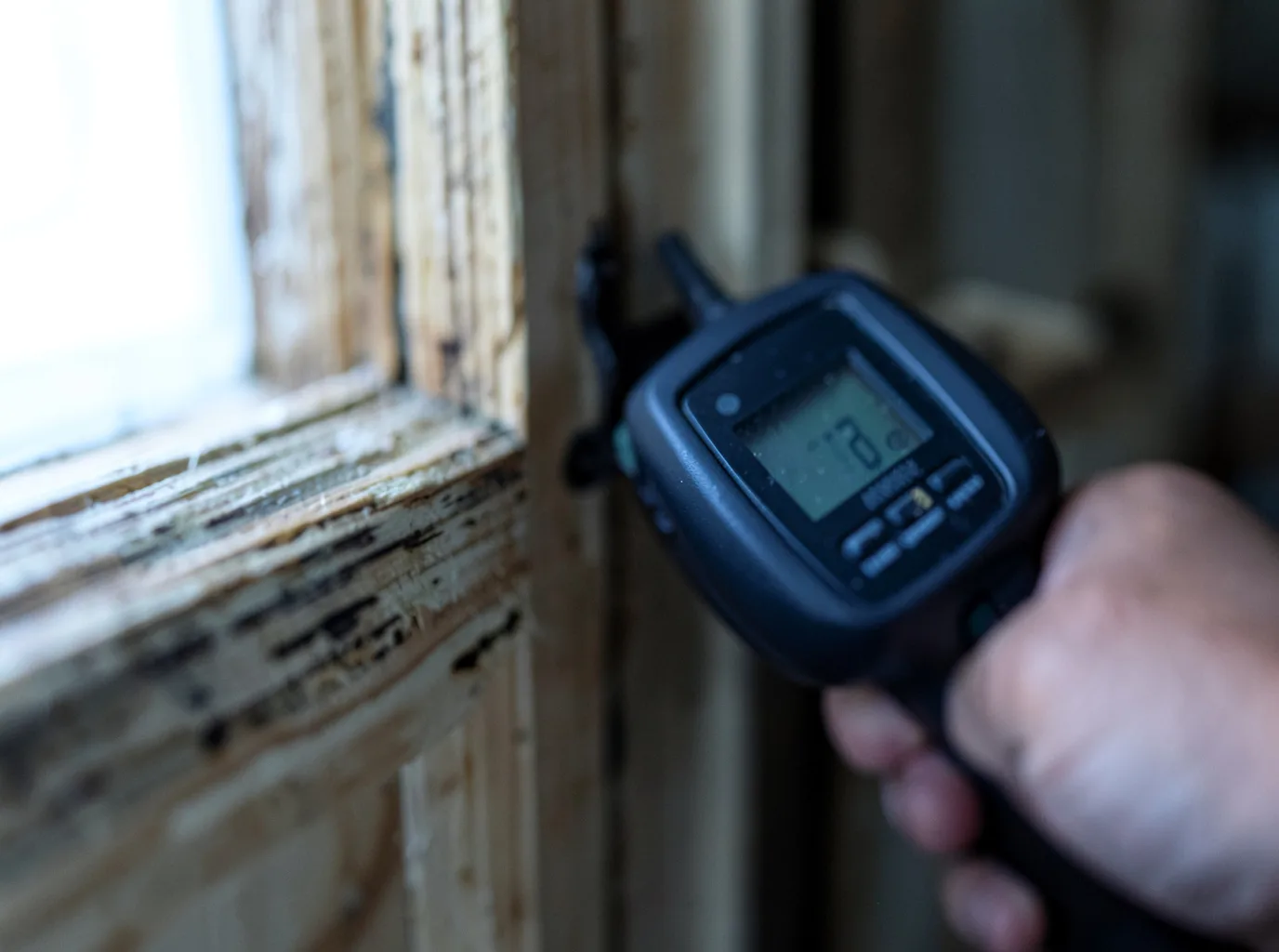 Moisture Inspection And Documentation in Ashton, IL